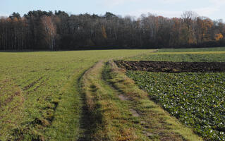 Poland, Wielkopolskie