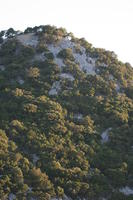 below, Croatia, Croatia, day, dusk, hill, tree, vegetation