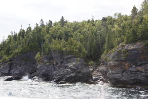 broad-leaf tree, broad-leaved tree, Canada, cliff, coniferous, day, eye level view, Ontario, seascape, summer, sunny, Tobermory, tree, treeline, woodland