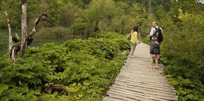 bridge, Croatia, day, diffuse, diffused light, eye level view, family, group, Karlovacka, natural light, path, people, plant, shrub, summer, tourist, walking, woodland