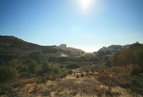 Calpe, day, elevated, greenery, shrubland, Spain, sunny, tree, Valenciana