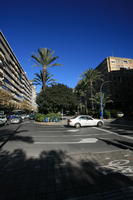 Alicante, car, day, eye level view, palm, Spain, street, sunny, Valenciana, vegetation