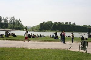 day, eye level view, France, grass, group, Ile-De-France, landmarks, Palace of Versailles, Paris, park, path, people, spring, summer, summer, sunny, tree, vegetation