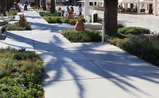 bush, Croatia, day, eye level view, pavement, potted plant, shrub, Splitsko-Dalmatinska, summer, sunny