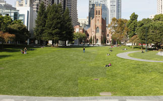 autumn, California, day, elevated, grass, park, San Francisco, sunny, The United States