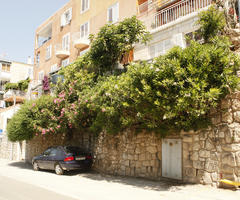 bush, Croatia, day, Dubrovacko-Neretvanska, Dubrovnik, eye level view, flowered bush, shrub, street, summer, sunny