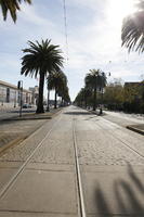 California, day, evergreen, eye level view, palm, Phoenix canariensis, San Francisco, street, summer, sunny, The United States, tramlines, urban