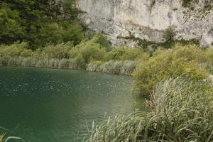 cliff, Croatia, day, diffuse, diffused light, eye level view, Karlovacka, lake, natural light, reed, shrub, summer