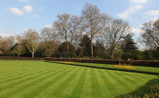 day, deciduous, England, eye level view, grass, London, park, spring, sunny, The United Kingdom, tree