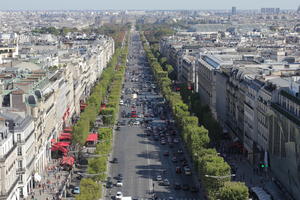 building, city, day, elevated, France, Ile-De-France, looking down, natural light, Paris, road, roof, street, summer, sunlight, sunny, traffic, treeline