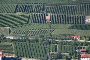 aerial view, day, field, Italia , Lombardia, summer, sunny