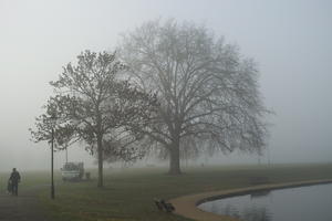 deciduous, England, eye level view, fog, grass, lake, London, natural light, overcast, park, The United Kingdom, tree, winter