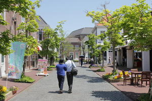 asian, couple, day, eye level view, flower, Japan, street, Tokyo, Tokyo, tree, walking