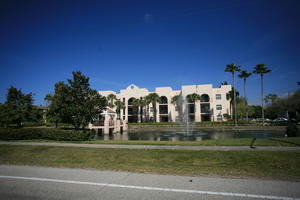 building, day, eye level view, Florida, fountain, house, Miami, natural light, palm, street, sunny, The United States, tree, vegetation, winter