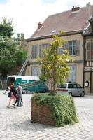 Champagne-Ardenne, city, day, eye level view, France, potted plant, summer, Troyes