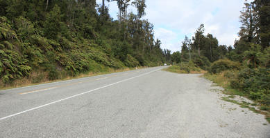 day, diffuse, diffused light, eye level view, fern, greenery, natural light, New Zealand, road, summer, West Coast