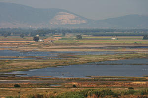 afternoon, day, direct sunlight, elevated, Grosseto, Italia , natural light, river, summer, Toscana, valley, vegetation