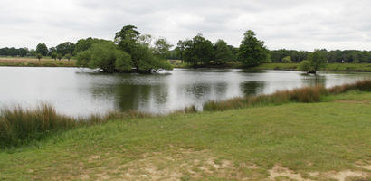 day, diffuse, diffused light, England, eye level view, grass, lake, London, natural light, park, spring, The United Kingdom, treeline