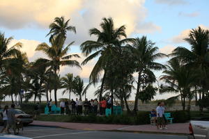 animal, bench, car, couple, dog, dusk, eye level view, Florida, group, Miami, object, palm, park, pavement, people, standing, street, summer, The United States, transport, tree, vegetation, walking, winter