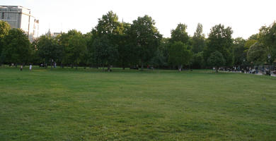 afternoon, broad-leaf tree, broad-leaved tree, day, England, eye level view, grass, London, park, summer, sunny, The United Kingdom, treeline