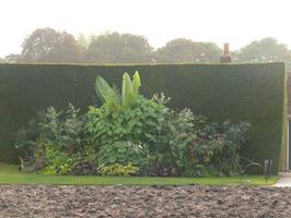 afternoon, day, England, eye level view, garden, hedge, natural light, park, plant, summer, sunny, The United Kingdom