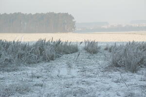 Poland, Wielkopolskie