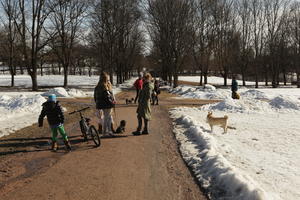 child, day, dog, eye level view, group, Norway, Oslo, park, people, snow, standing, sunny, winter