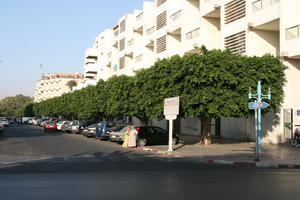 Agadir, arabic, autumn, building, car, day, eye level view, Morocco, sign, street, sunlight, sunny, sunshine, tree, vegetation, woman