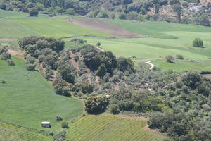 aerial view, Andalucia, day, field, Ronda, Spain, summer, sunny, valley