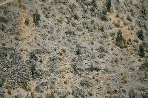 Arequipa, Arequipa, autumn, day, elevated, natural light, Peru, sunny, valley, Valley of Volcanoes, vegetation