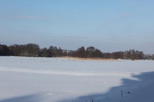 afternoon, bright, day, eye level view, field, open space, Poland, shady, snow, sunny, treeline, Wielkopolskie, winter