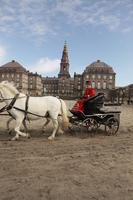 carriage, Copenhagen , day, Denmark, eye level view, Kobenhavn, square, sunny, winter