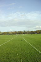 autumn, day, England, eye level view, grass, London, park, playground, sunny, The United Kingdom, treeline