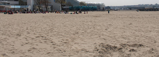 beach, Boulogne-sur-Mer, children, day, eye level view, France, group, Nord-Pas-de-Calais, people, playing, spring, sunbathing, sunny