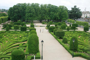 bush, Castres, day, elevated, France, garden, hedge, Midi-Pyrenees, natural light, park, summer, tree