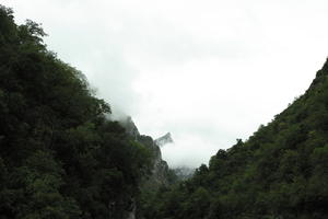 Asturias, day, diffuse, diffused light, elevated, mountain, natural light, Spain, summer, woodland