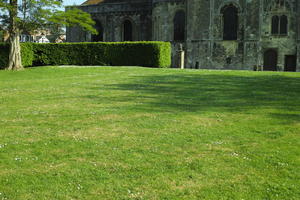 day, England, eye level view, grass, lawn, park, Romsey, sunny, The United Kingdom