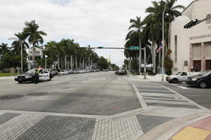 car, coconut palm, Cocos nucifera, crossing, day, diffuse, diffused light, eye level view, Florida, Miami, palm, pavement, police car, street, summer, The United States