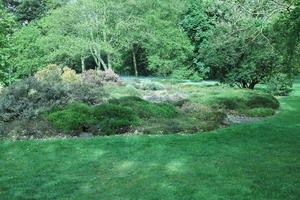 day, England, eye level view, garden, grass, natural light, park, plant, The United Kingdom, Woking