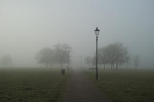 deciduous, England, eye level view, fog, grass, London, natural light, overcast, park, path, street light, The United Kingdom, tree, winter