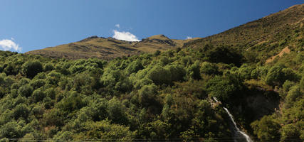 below, day, summer, sunlight, sunny, sunshine, woodland