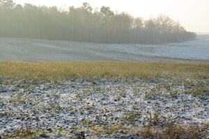 Poland, Wielkopolskie