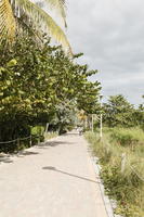 day, eye level view, Florida, grass, mangrove, Miami, park, pavement, summer, sunny, The United States