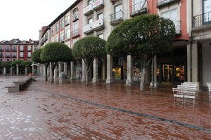 Burgos, Castilla y Leon, day, diffuse, diffused light, eye level view, manicured trees, natural light, overcast, pavement, Spain, square, tree, wet