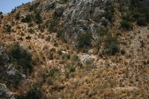 below, day, natural light, Peru, Puno, rockery, spring