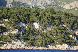 coastline, Croatia, day, eye level view, Makarska, rockery, Splitsko-Dalmatinska, summer, tree, vegetation