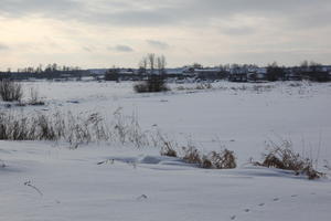 afternoon, day, diffuse, diffused light, eye level view, field, natural light, open space, Poland, snow, Wielkopolskie, winter