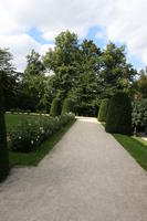 Belgium, Brussels, day, eye level view, flower, grass, hedge, natural light, park, path, summer, tree, vegetation