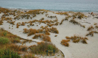 day, diffuse, diffused light, elevated, grass, natural light, New Zealand, overcast, plant, sand dune, seascape, summer, West Coast