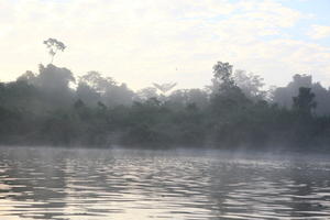 Brunei, day, diffuse, diffused light, eye level view, fog, forest, natural light, river, summer, treeline, tropical